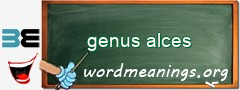 WordMeaning blackboard for genus alces